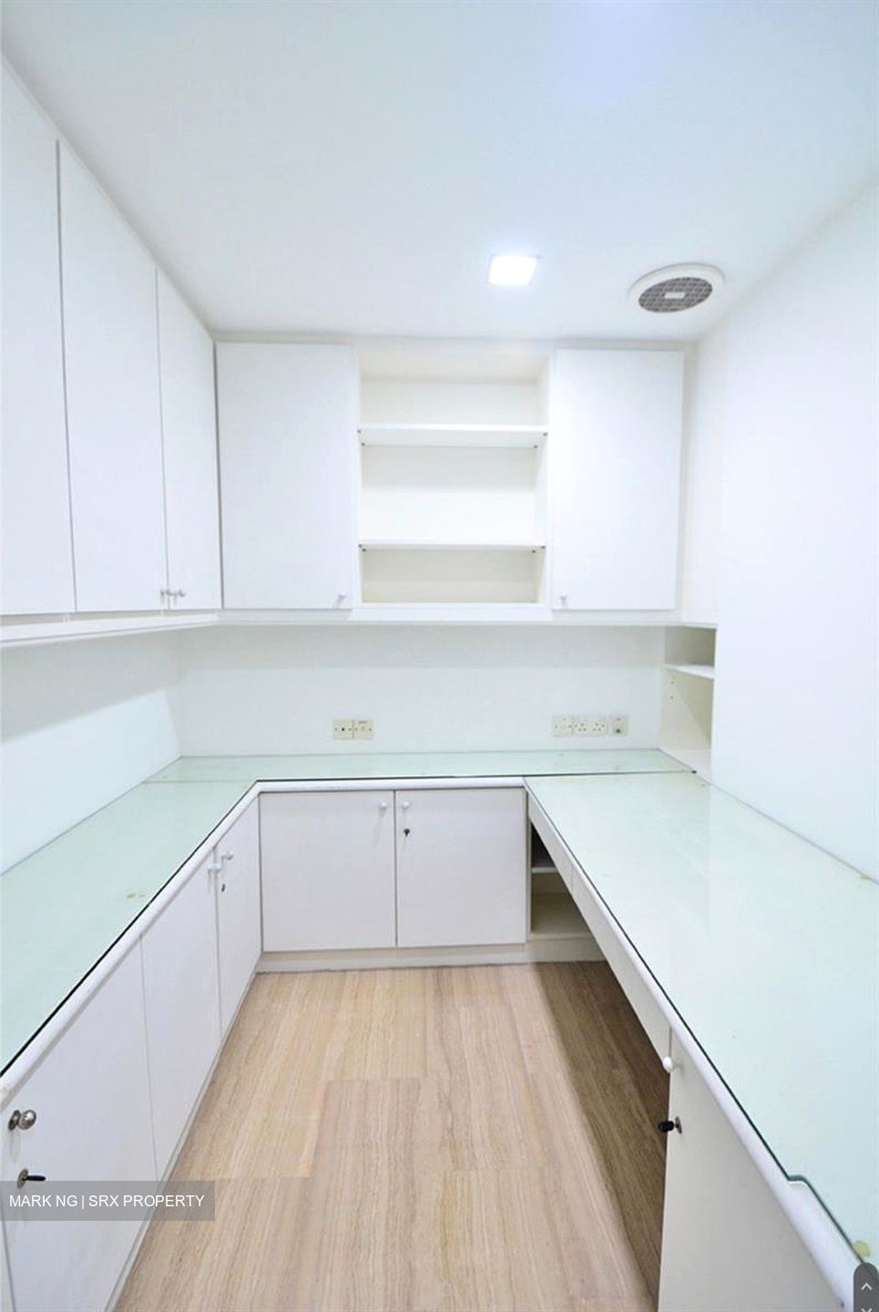 Regency Park (D10), Condominium #594149481